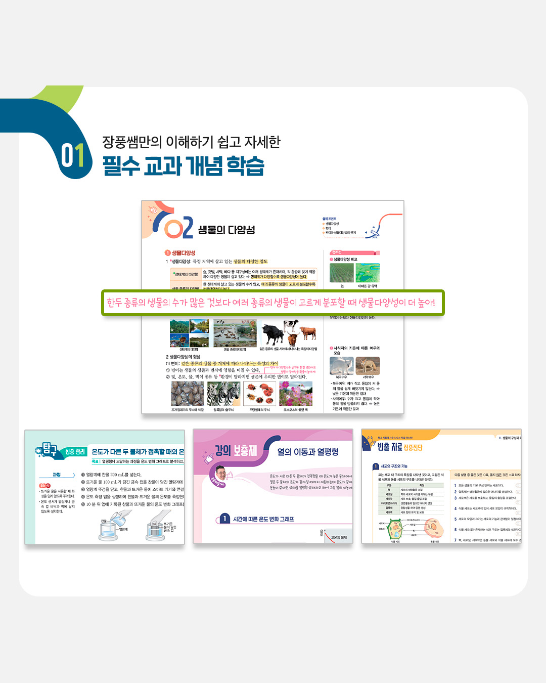에볼루션 바카라 사이트