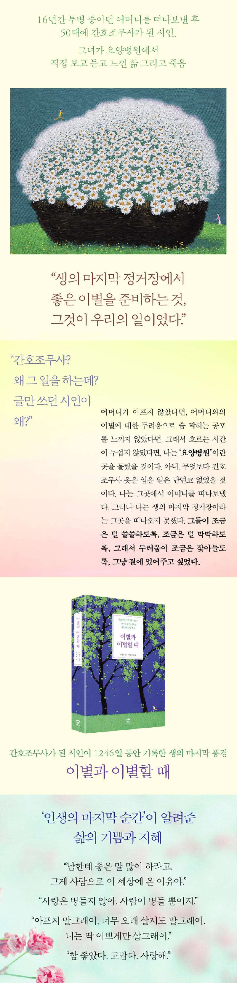 라이브바카라