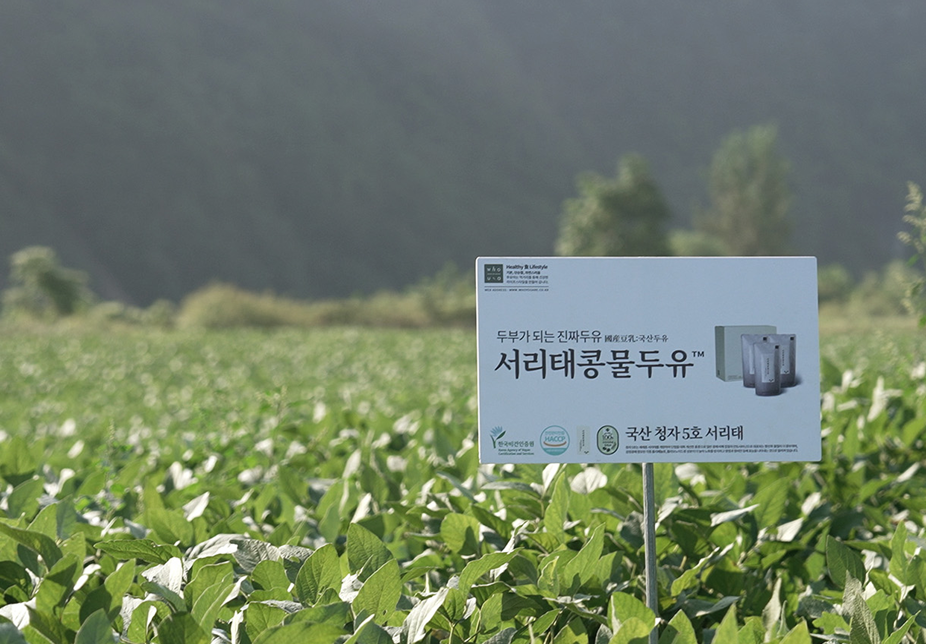 image 1662604292.png