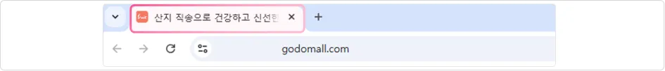 기본 정보 파비콘 노출 예시.png 기본 정보 파비콘 노출 예시.png