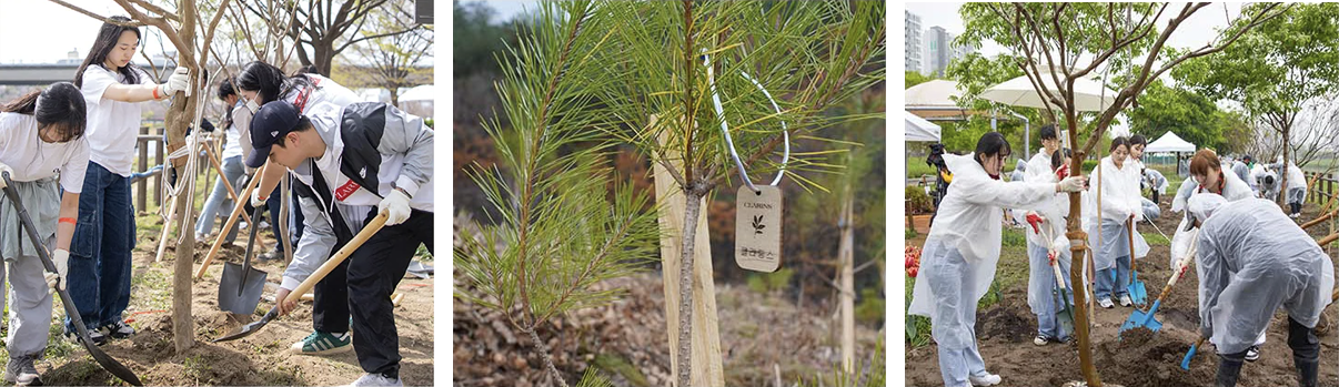 25. 클로랑스 나무심기.png