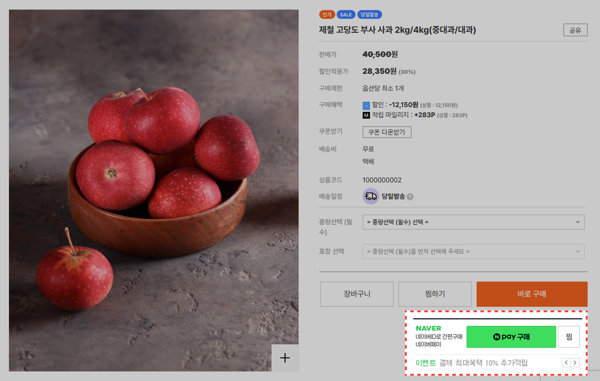 6. 익숙한 네이버페이로 결제 과정을 간소화한 화면 예시 ⓒ고도몰.png