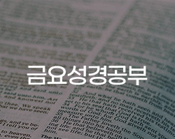 금요성경공부