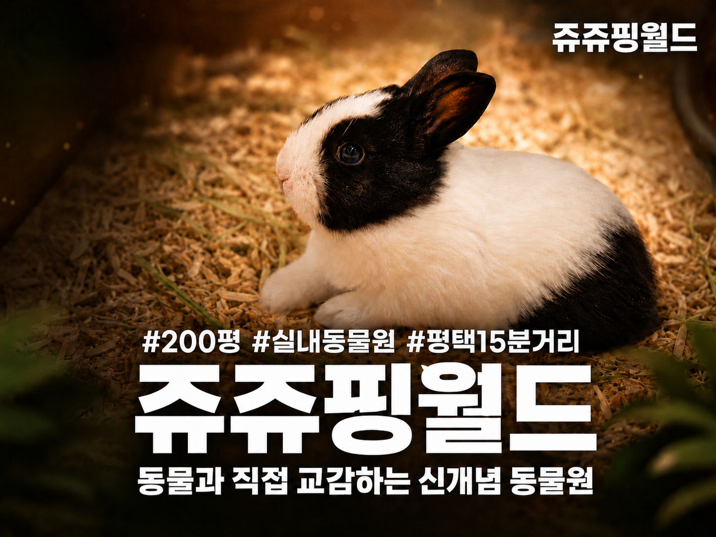 썸네일 1