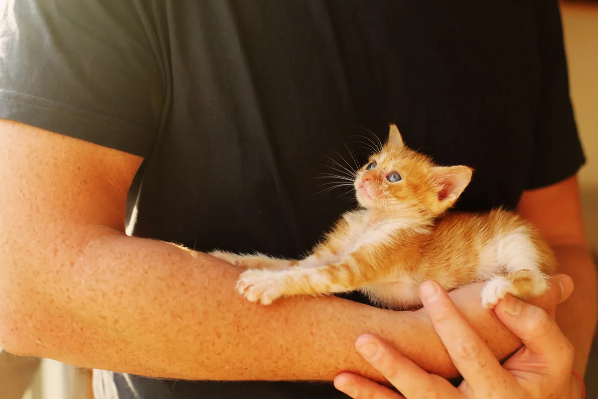 오늘의 귀여움 충전 💫 1