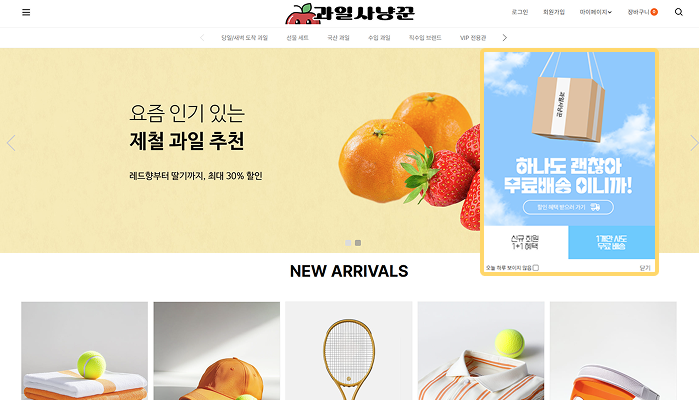 고도몰 - 팝업창 적용 화면.png